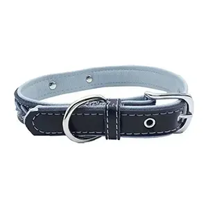 Collier pour chien, 51*2,5 Mm, Noir et bleu