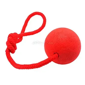 Balle solide avec corde en caoutchouc pour chien, Pet outlet