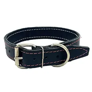 Collier en cuir pour chien, 70cm