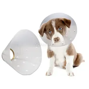 Collerette en plastique pour petit et moyen chien