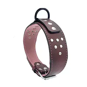 Collier pour chien à clous en cuir, 64cm