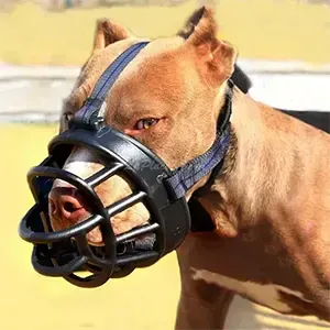 Muselière professionnelle réglable en plastique pour chien, Pet toy, Pet outlet