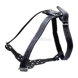 Harnais avec clous en cuir pour chien