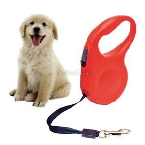 Laisse téléscopique pour petit chien, 182, 3 Mètres