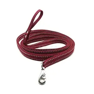 Laisse de dressage en tissu pour chien, 3M