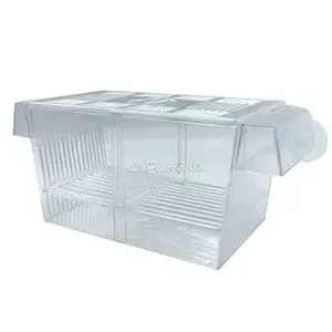 Boîte d'isolation multi-usages d'élevage de poissons d'aquarium