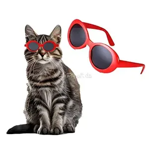 Lunettes de soleil rétro pour chat