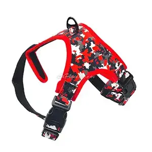 Harnais pour petit et moyen chien