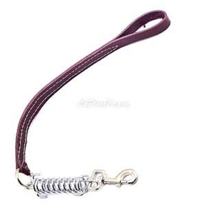 Laisse en cuir avec ressort pour chien, 67 Cm