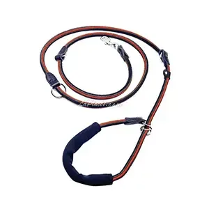 Laisse professionnelle réglable pour chien, 2,2M