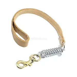 Laisse en cuir avec ressort pour chien, 72cm