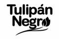 Tulipan Negro