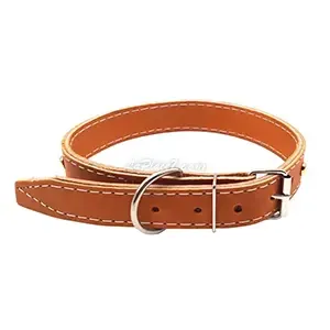 Collier à clous en cuir à pour chien, 66cm
