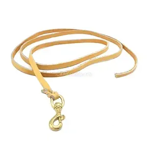 Laisse en cuir pour chien, 240cm