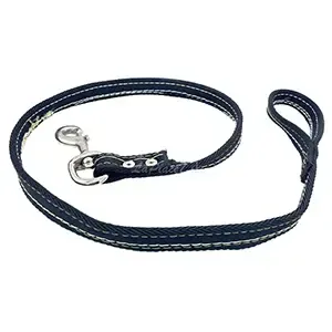 Laisse de dressage en tissu pour chien, 2M