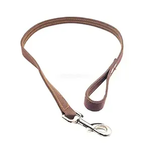 Laisse en tissu pour chien, 1M