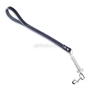 Laisse en cuir avec ressort pour chien