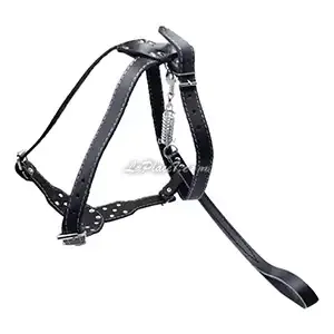 Laisse et harnais avec clous en cuir pour chien