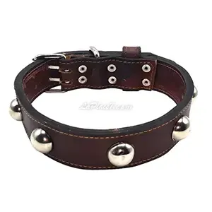 Collier à clous en cuir pour chien, Perros, 66cm