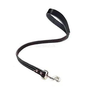 Laisse en cuir pour chien, 1M