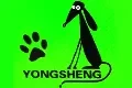 Yongsheng