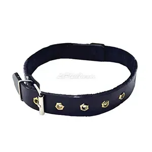 Collier en cuir pour petit chien