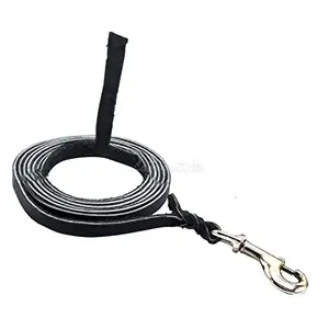 Laisse longue en cuir pour chien, 2,9 M