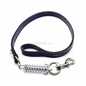 Laisse en cuir avec ressort pour chien, 1,15 M
