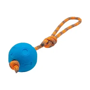 Balle solide en caoutchouc pour chien avec corde, motifs os, 25cm