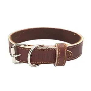 Collier en cuir pour chien, 56cm