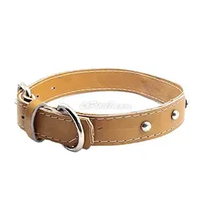Collier en cuir pour chien, 75Cm