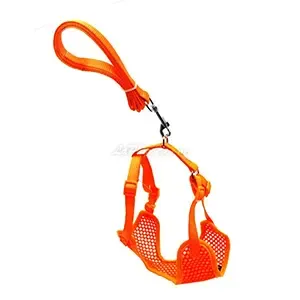 Harnais avec laisse en tissu pour petit et moyen chien, Yabeibi