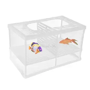 Isoloir d'élevage de poissons d'aquarium