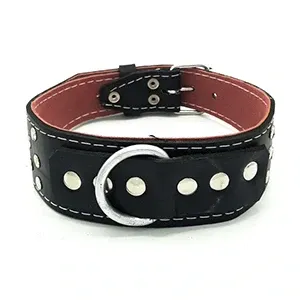 Collier à pique en cuir pour grand chien, 60Cm