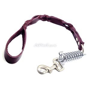 Laisse en cuir tressée avec ressort pour chien, 65Cm