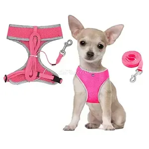 Harnais avec laisse en tissu pour petit chien, Younice