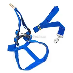 Harnais avec laisse en tissu pour chien