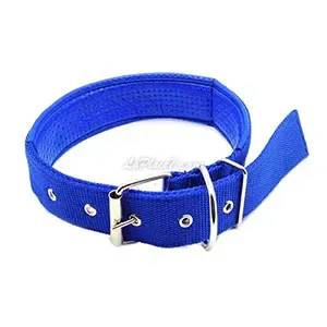 Collier en skaï  et en tissu pour chien, Jush, 70 Cm