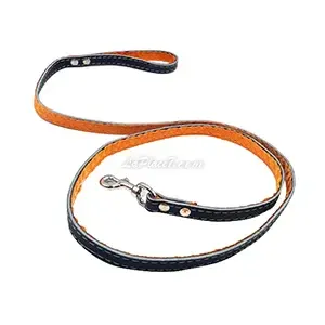 Laisse en cuir pour chien, 178cm