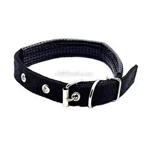 Collier en tissu pour petit chien, Pet Supplies, 47 Cm