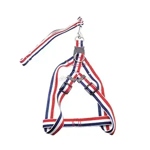 Harnais avec laisse pour petit et moyen chien, Dao Dan Gui, Laisse 1,3 M