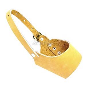 Muselière canon en cuir pour Chien, Beige