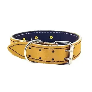 Collier en cuir à pique pour moyen et grand chien, 63 Cm