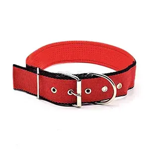 Collier en skai et tissu pour pour moyen et grand chien, GT Pet, 69 Cm