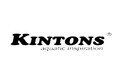 Kintons