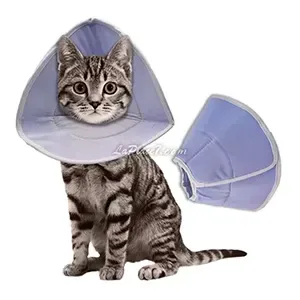 Collerette de protection pour chat