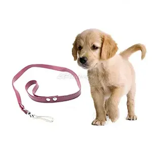 Laisse en skaï pour petit chien, 1M