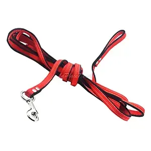 Laisse de dressage en tissu pour chien, 2,85 M