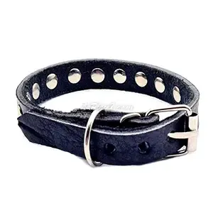 Collier en cuir à pique pour petit chien, 38 cm