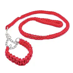 Collier et laisse tressée pour chien, 1,6 M